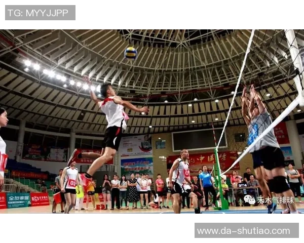 上海排球队战术引发热议球迷与专家的观点碰撞分析